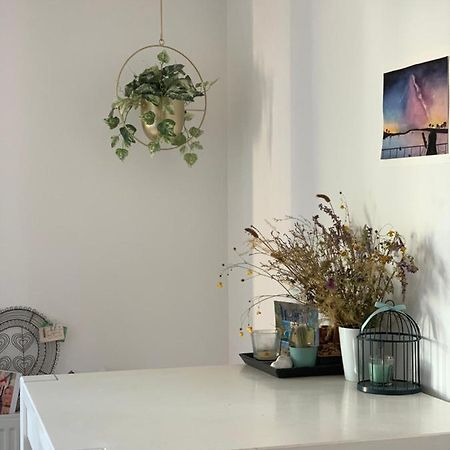 Super Logement Cosy, A Deux Pas Du Tram Ναντ Εξωτερικό φωτογραφία