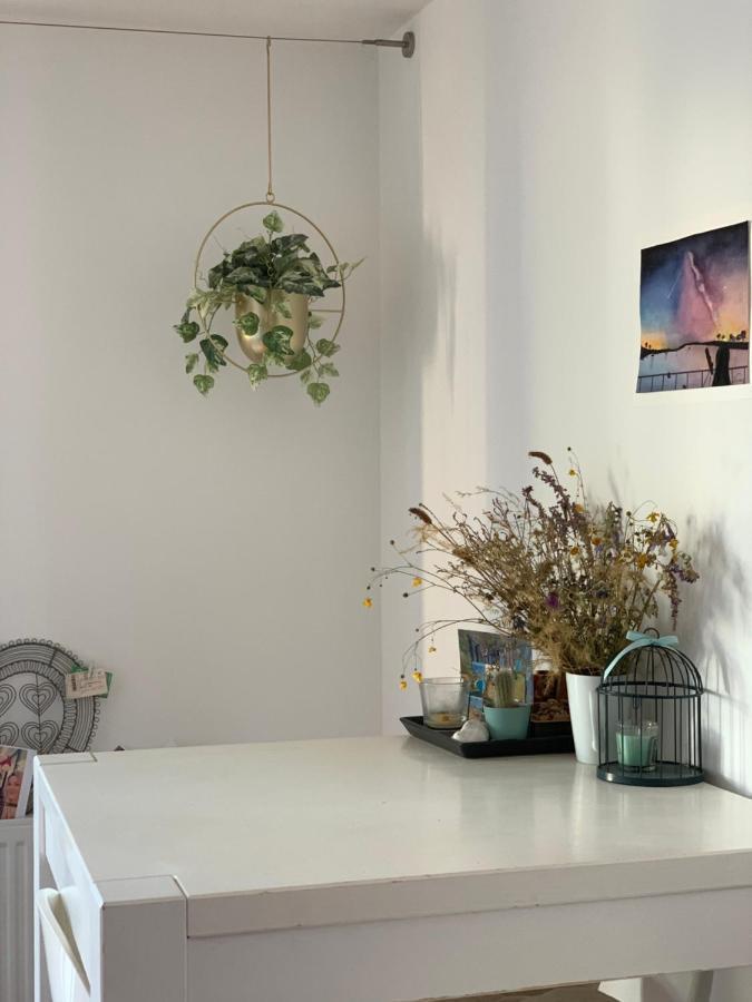 Super Logement Cosy, A Deux Pas Du Tram Ναντ Εξωτερικό φωτογραφία